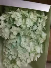 Eternal flower, preserved flower, double-petal hydrangea Specification image